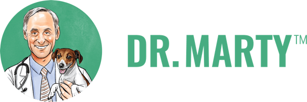 Dr Martys logo